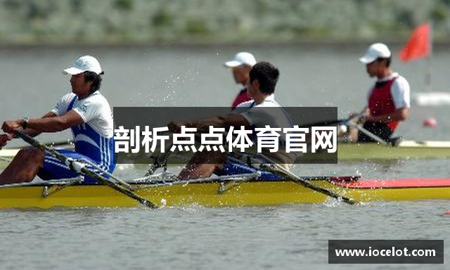 剖析点点体育官网